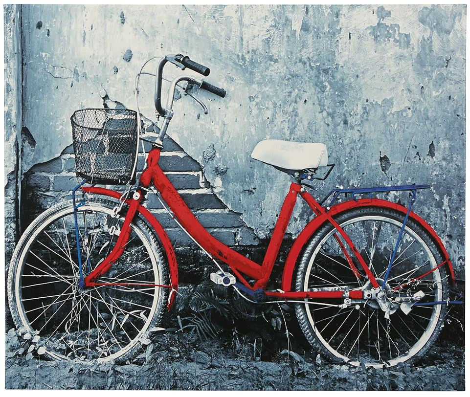 BICYCLE 25" Wide Wall Art