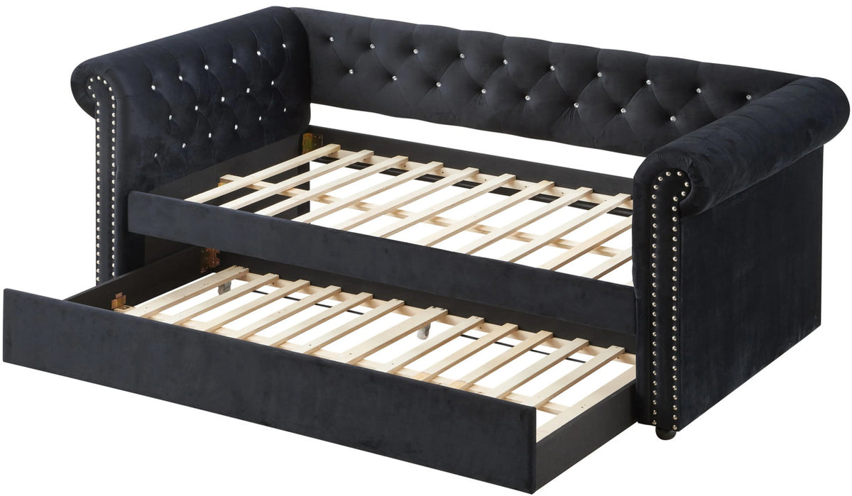 JAYME Black Velvet 96" Wide x 37" Height Daybed with Trundle