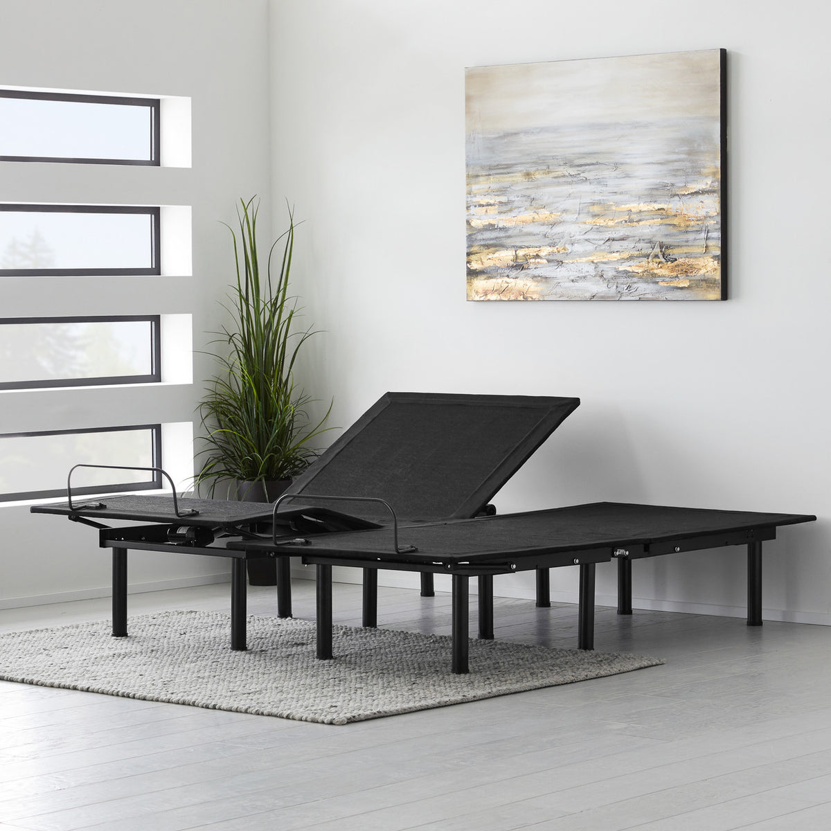 PLAZID Adjustable Base