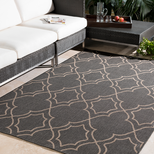 Frances 2'3" x 4'6" Rug