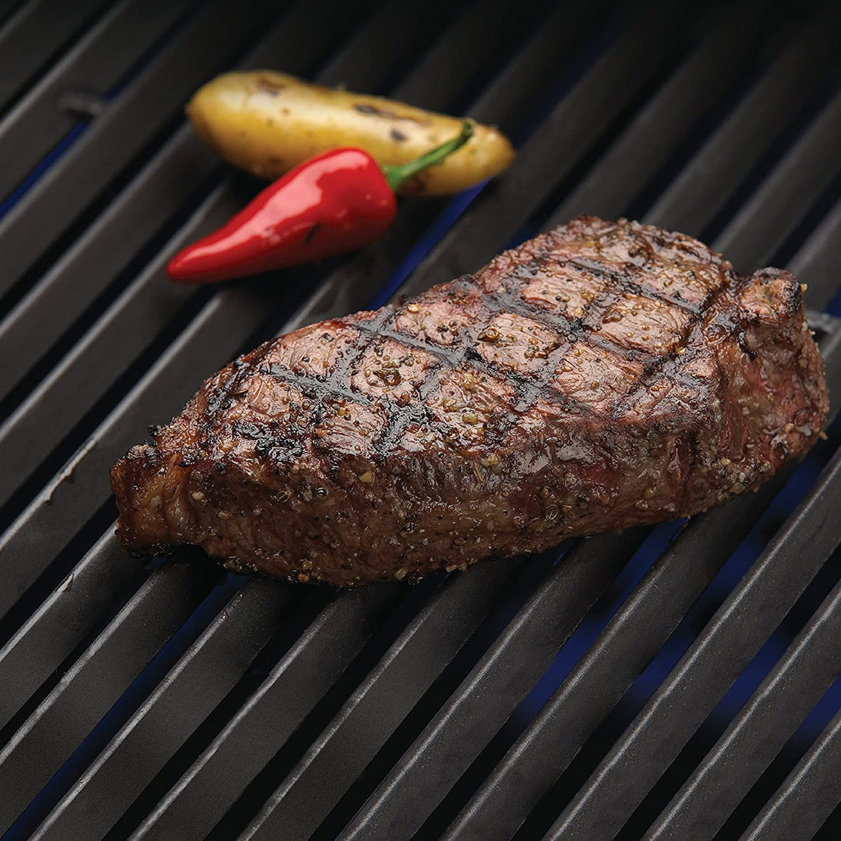 SIGNET 640 XL Gas Grill