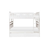 Galen - Bunk Bed