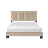 Newberry - Platform Bed