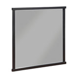 Acworth - Mirror - Brown / Black
