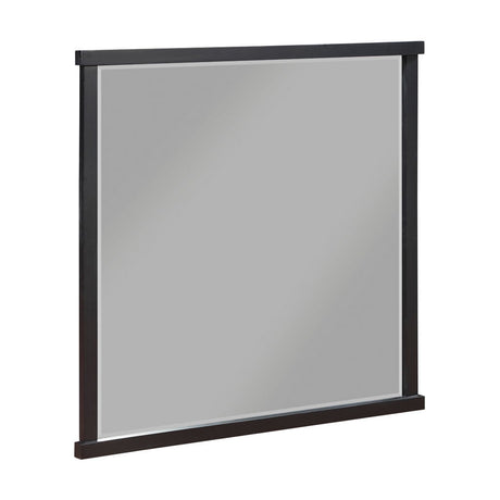Acworth - Mirror - Brown / Black