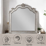 Esteban - Mirror - Antique Champagne