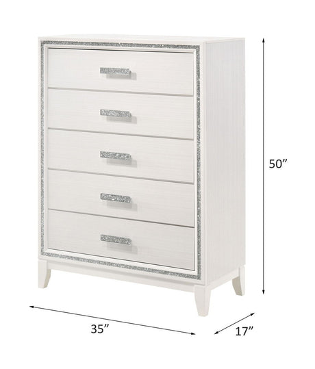 Haiden - Chest