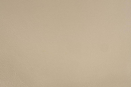 Sorina - Eastern King Bed - Synthetic Leather & Antique Gold