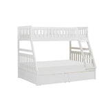 Galen - Bunk Bed