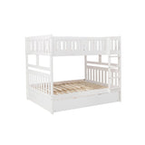 Galen - Bunk Bed