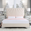 Faiz - Bed