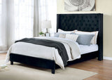 ADITA Black Platform Bed