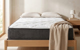 ALLSTAR 8" Plush Mattress