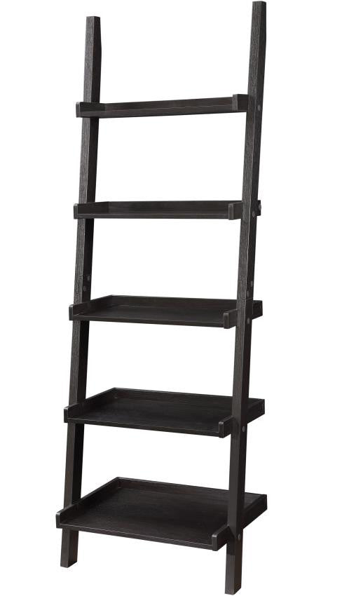 Callen Ladder Bookcase
