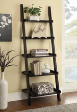 Callen Ladder Bookcase
