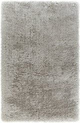 Catina Gray 8' x 10' Rug