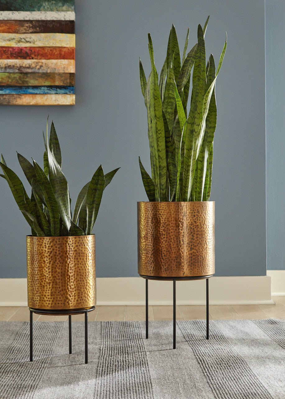 Dacia Planter Set