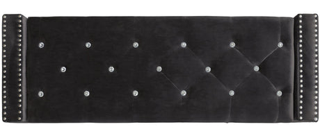 ELENA Black Velvet 52" Wide Storage Bench