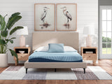 EMBLEM 8" Memory Foam Mattress