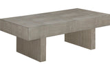 Christina gray 52" x 26" coffee table