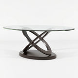 HIZINA Dark Brown 48" x 30" Coffee Table