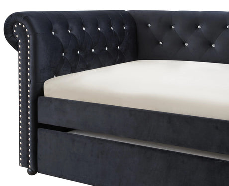 JAYME Black Velvet 96" Wide x 37" Height Daybed with Trundle