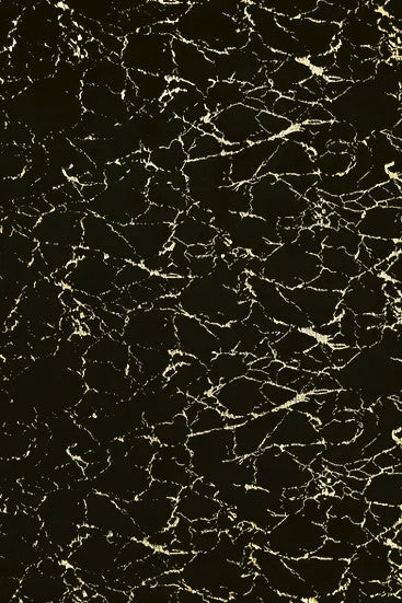 KALYNA Black & Gold  5' x 7' Area Rug