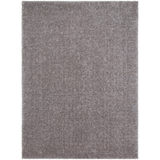 Lilou 5' x 7' Rug