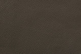 Maxy Raisin Tone Top Grain Leather Double Powered Reclining Sofa