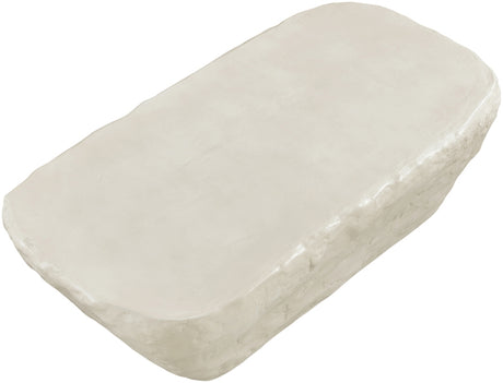 NISTINA Greige Smooth Concrete 53" x 28" Coffee Table