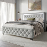 PINEDA Gray 50" Height LED Platform Bed