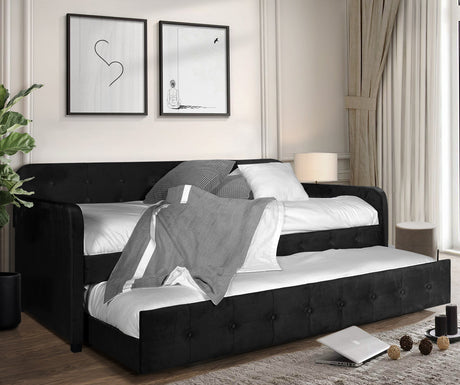 PURCELL Black Velvet Daybed with Trundle