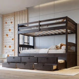 RASCAL Dark Brown Twin over Twin Bunk Bed with Trundle & Drawers