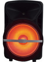 Edison Pro ST-1000MKII Bluetooth Speaker
