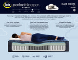 Serta Perfect Sleeper® Ellis Nights 14" Plush Hybrid Mattress