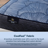 Serta Perfect Sleeper® Ellis Nights 14" Plush Hybrid Mattress