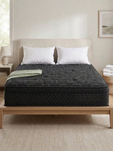 TWILIGHT Black Euro-Top 12.5" Medium Mattress