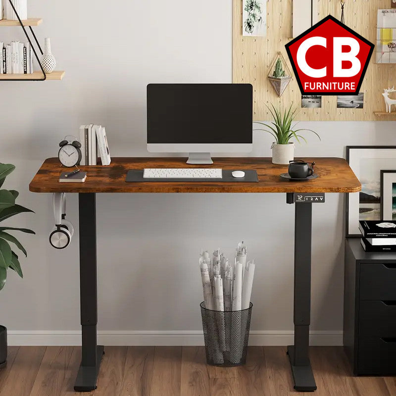 WHISTLER Brown 40" x 24" Desk With Powered Adjustable Height (RTA)