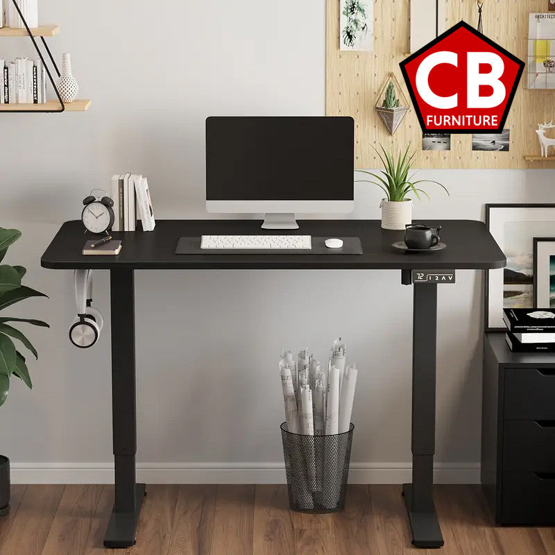 WHISTLER Black 48" x 24" Desk With Powered Adjustable Height (RTA)