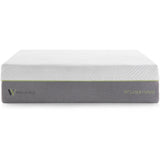 Wellsville 14 Inch Latex Hybrid Mattress
