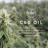 Zoned ActiveDough CBD Pillow with Aromatherapy Spray, Mid Loft