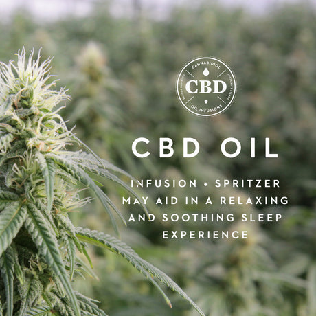 Zoned ActiveDough CBD Pillow with Aromatherapy Spray, Mid Loft