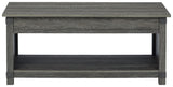 CALEB Gray 43" Wide Lift Top Coffee Table (RTA)
