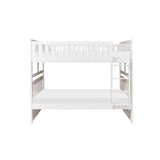 Galen - Bunk Bed