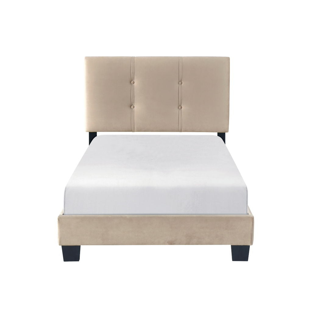 Newberry - Platform Bed