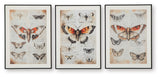 Jossletts - Wall Art Set (Set of 3) - Orange / Black / Ivory